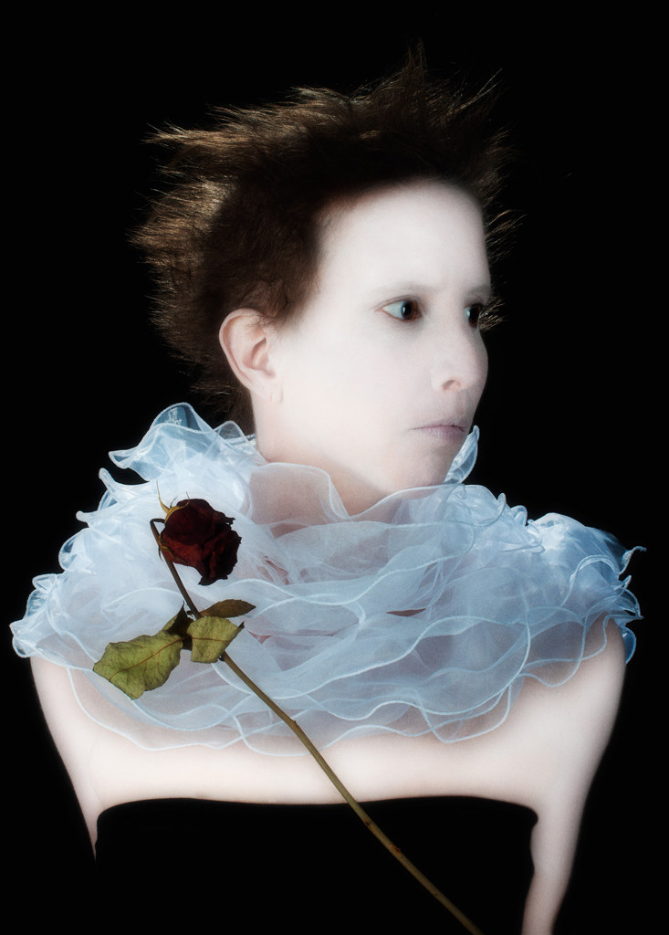 NotMyRose