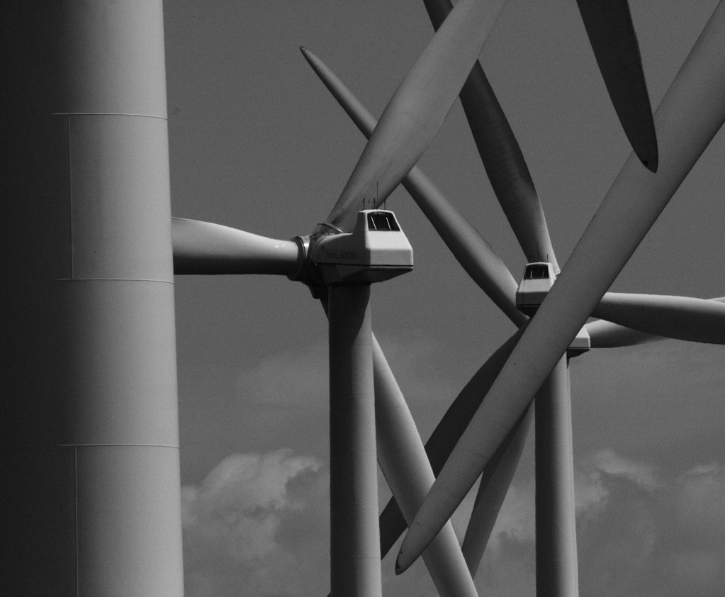 Tilting at Windmills, photograph by Gary Perdue