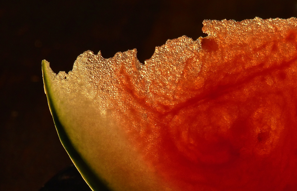 Watermelon, photograph by Sami Sharkey