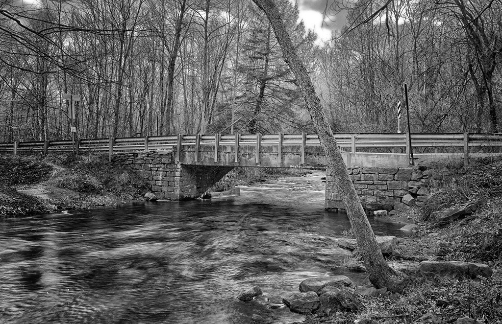 6 Mile Run, photograph by Robert Hale