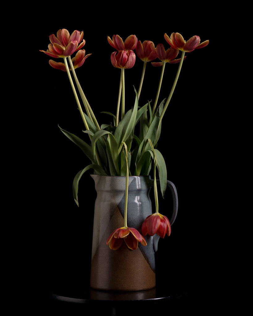 Mom’s Vase, photograph by Linda Hale