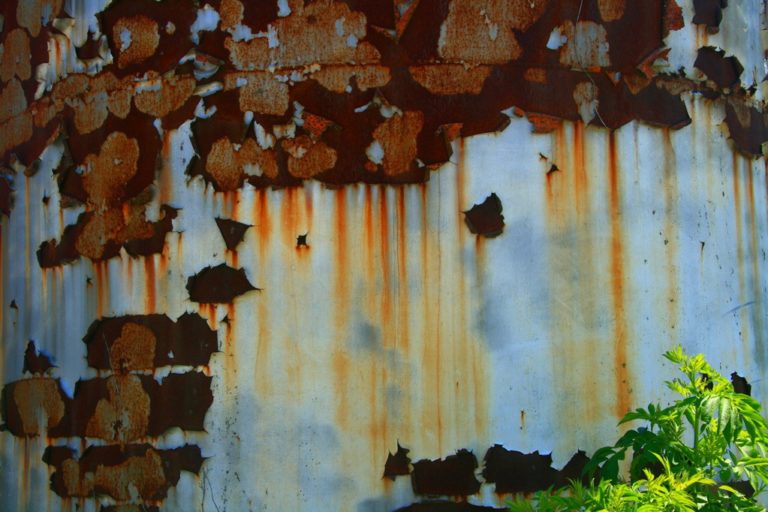 Rust Rain Regeneration, photograph by Gary Perdue