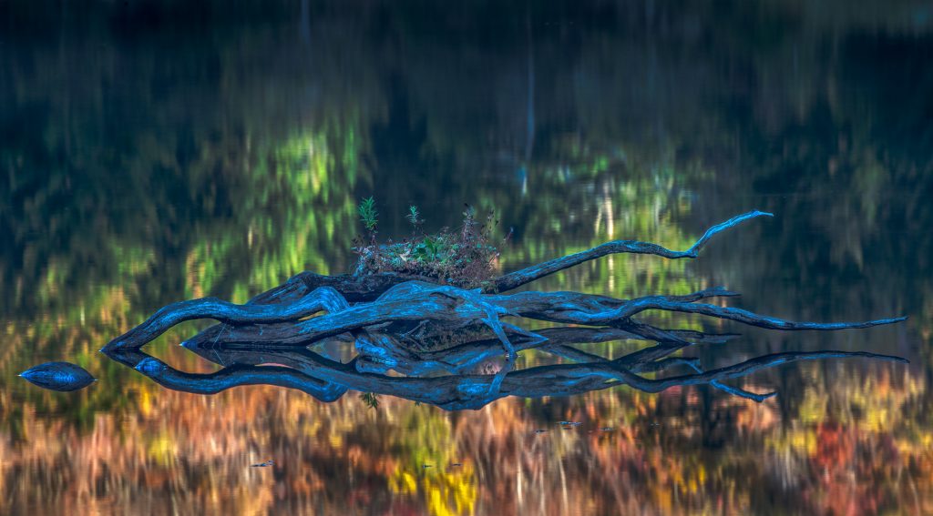 The Reflection, photograph by David Whiteman