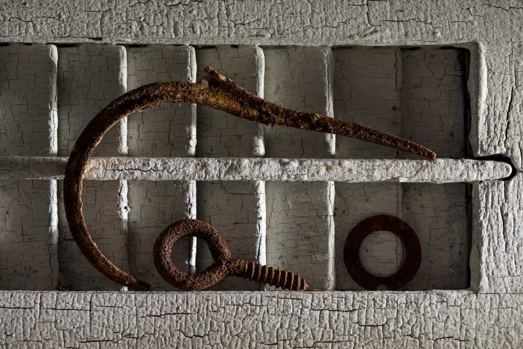 Circles, photograph by Linda Hale