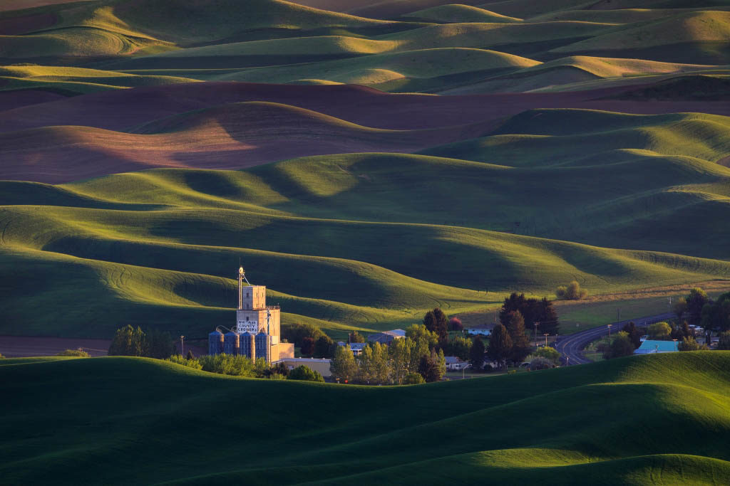 The Palouse, photograph by David Whiteman
