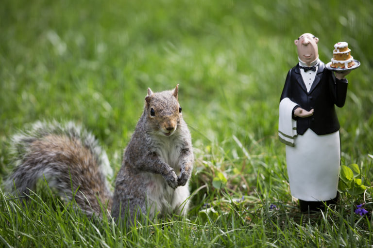 Squirrel And Steward, photograph by Bruce Cai