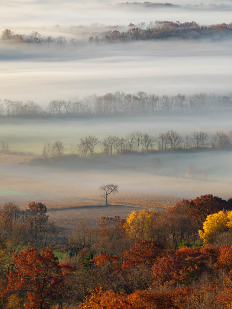 The view from above the fog, photograph by David Whiteman
