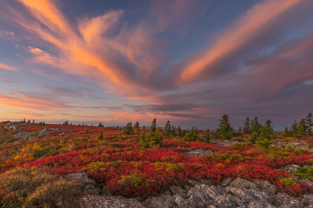Dolly Sods Sunrise, photograph by David Whiteman