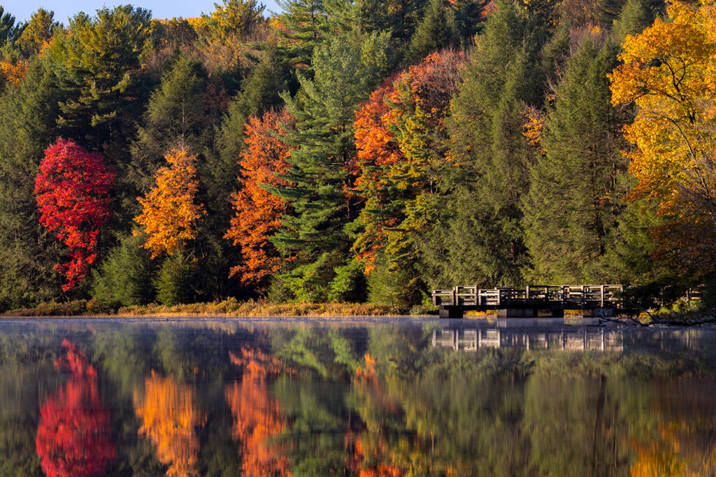 Black Moshannon by Brad Shearer