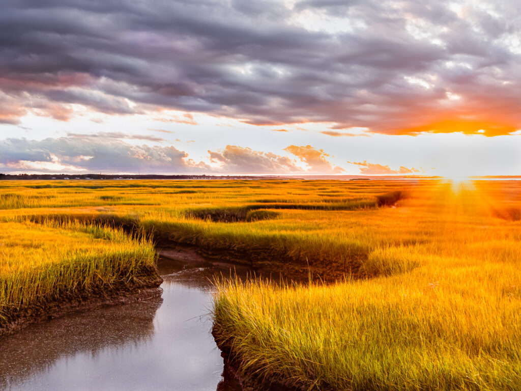 Sunset at Bass Hole by Bill Duffy