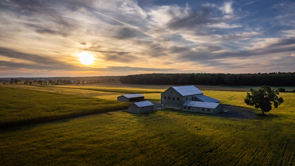 Golden by Jim Valent