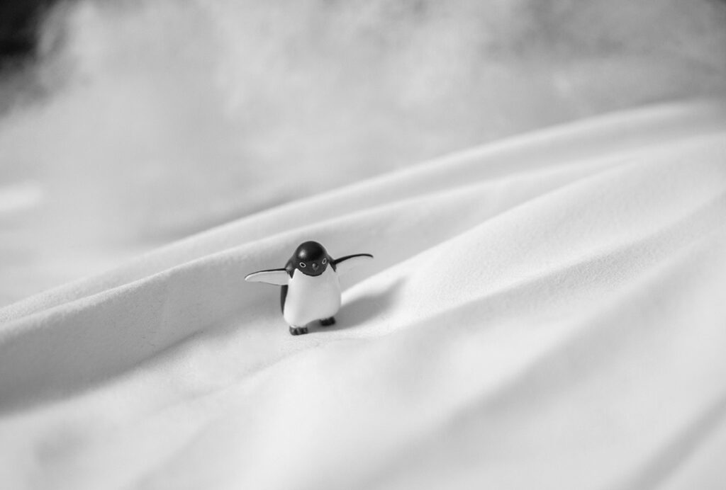 Antartica Inside, photograph by Kelly Russo-Petrick
