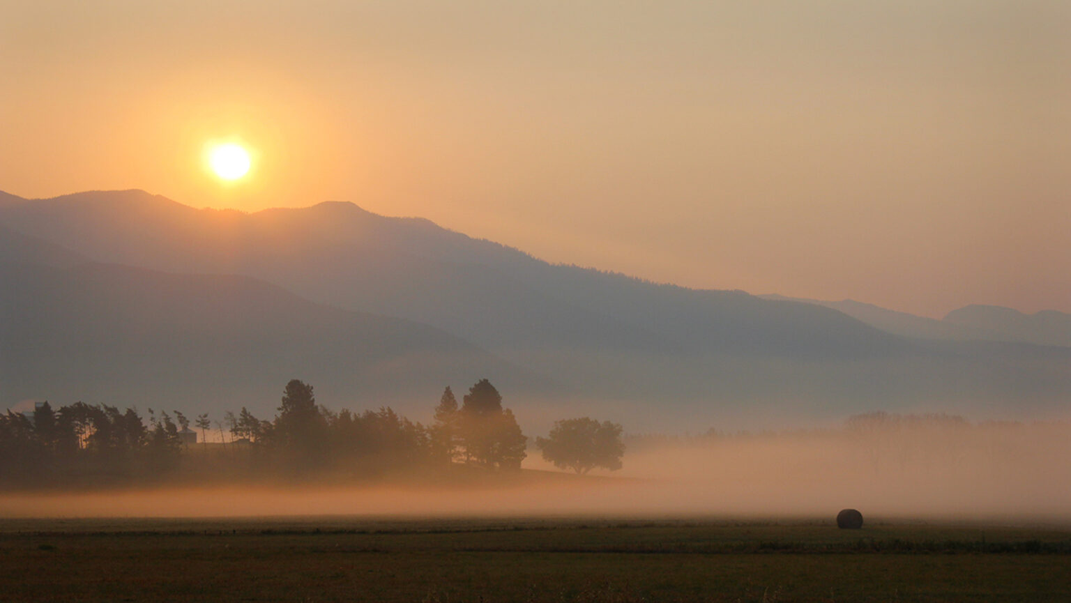 Foggy Morning, photograph by Jim Thomas
