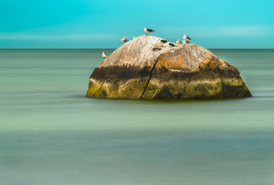 Bird Rock, photograph by Bill Duffy