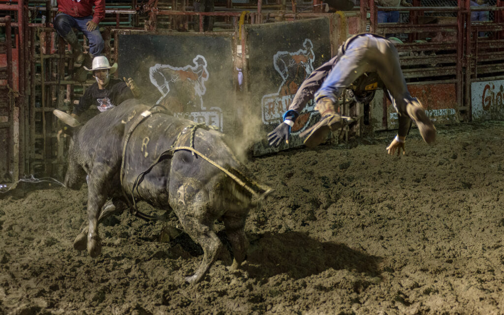 The Fall, photograph by Kathy Smith