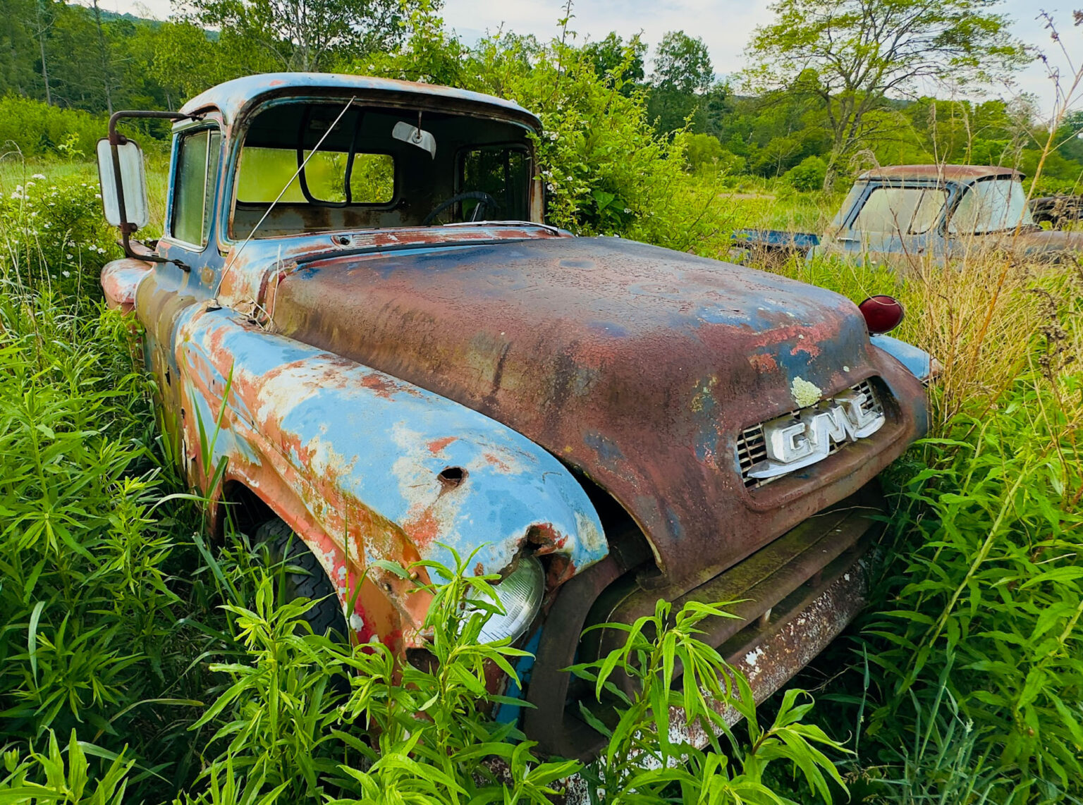 GMC Out to Pasture, photograph by Ann Taylor Schmidt
