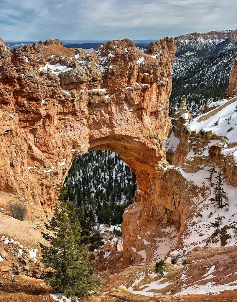 Natural Bridge, photograph by Carolyn Todd-Larson