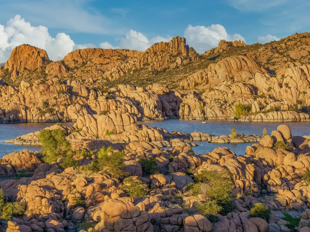 Watson Lake 2024, photograph by Carolyn Todd-Larson