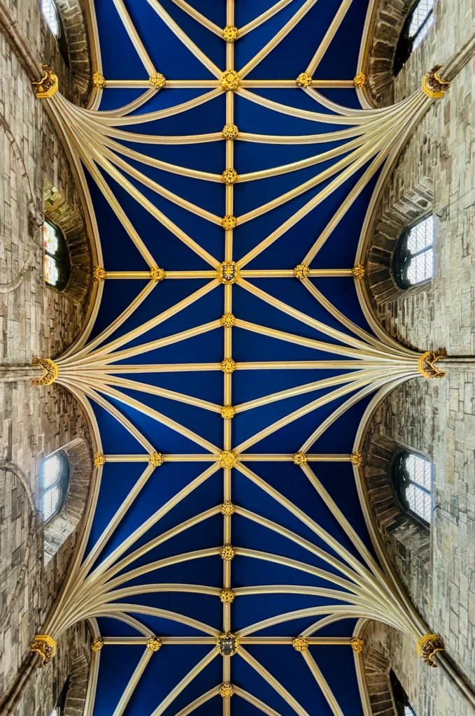 Cathedral Ceiling, photograph by Chris Creager