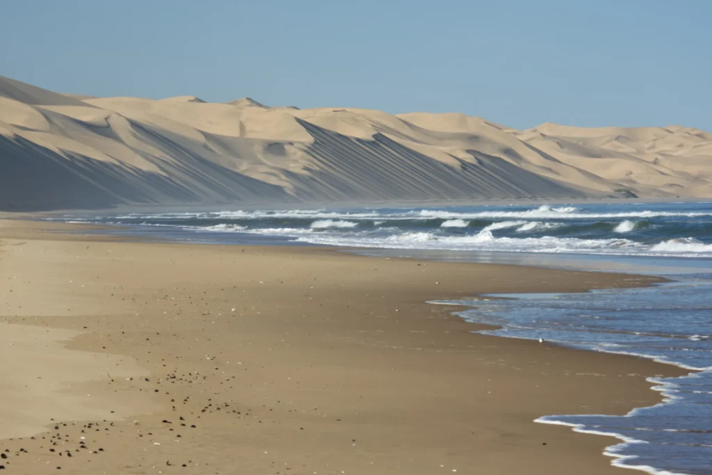 Sea Shore, photograph by Dave Mann