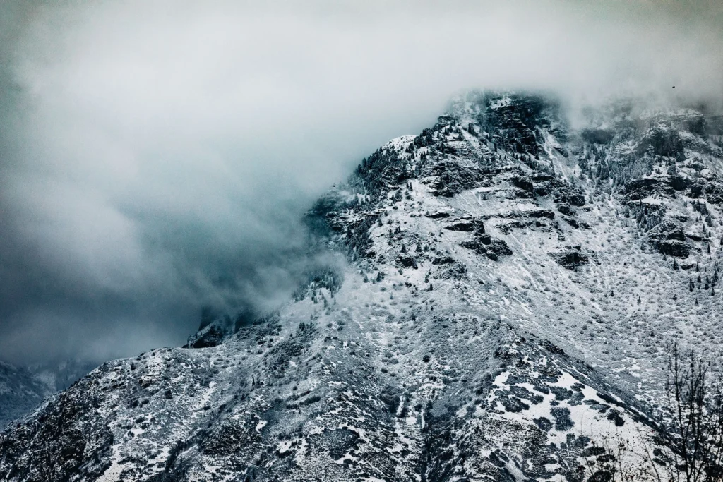 Rocky Mountain, photograph by Jane Liechty