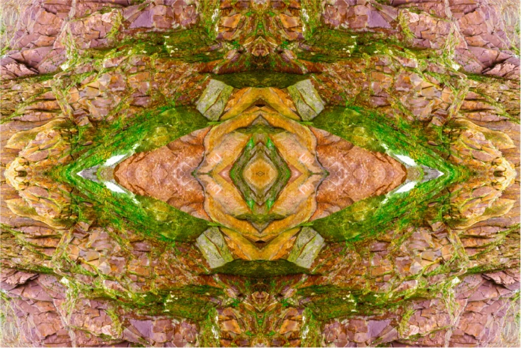 Natural Kaleidoscope, photograph by Jason Smoyer