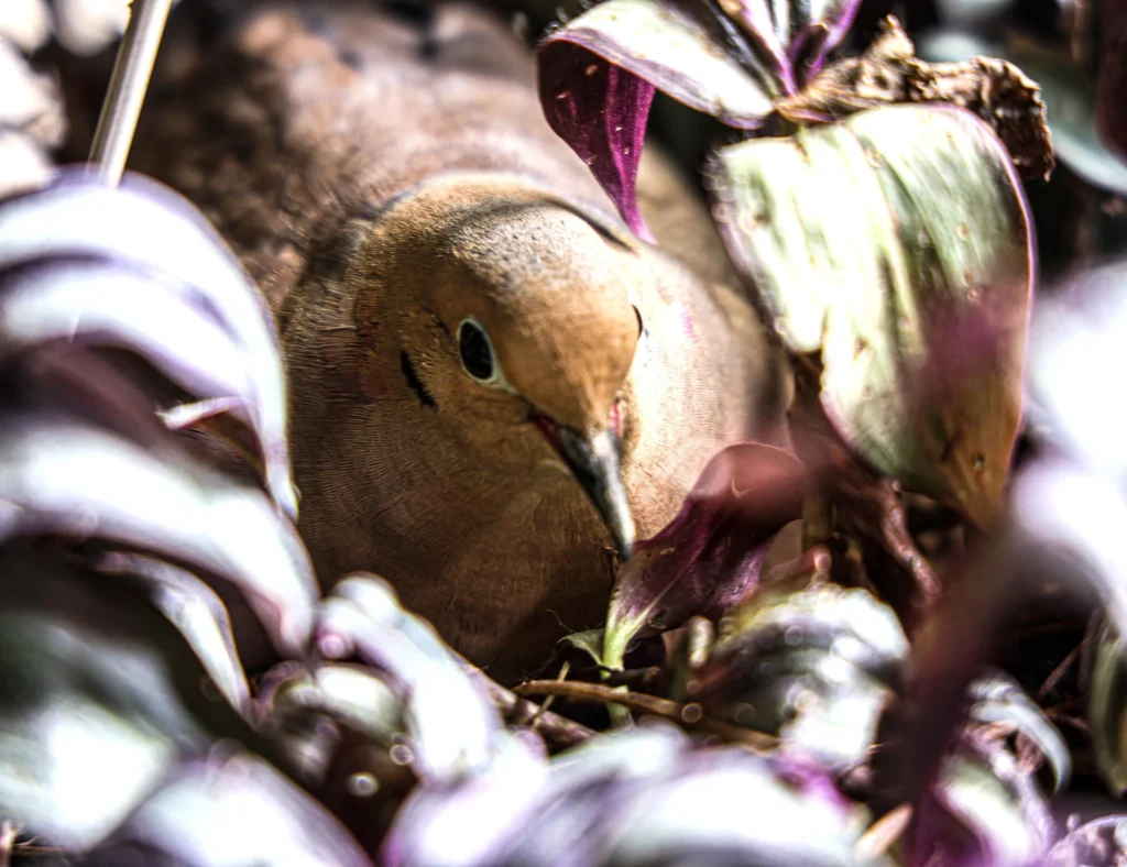 Can I help you, photograph by Jim Thomas