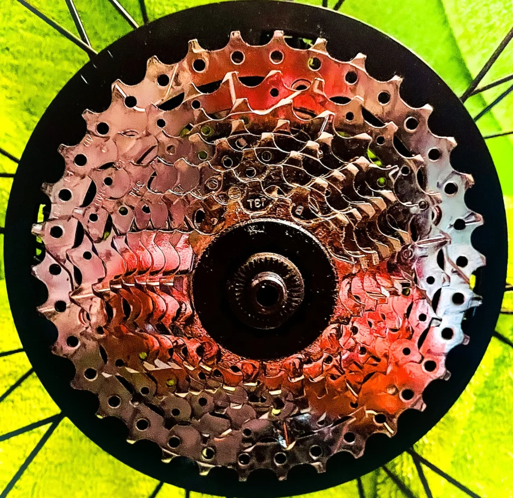 Gear Mirror, photograph by Jim Thomas