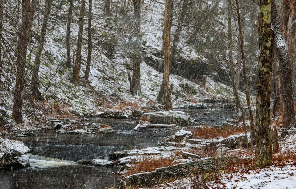 Pocono Snowstorm, photograph by Jim Thomas