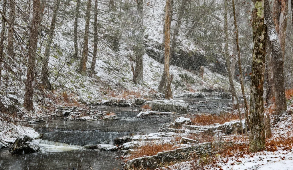 Pocono Winter, photograph by Jim Thomas