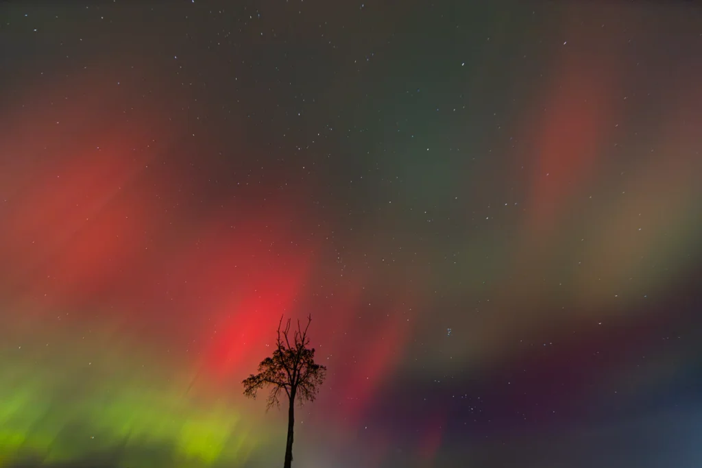Cosmic, photograph by Jim Valent