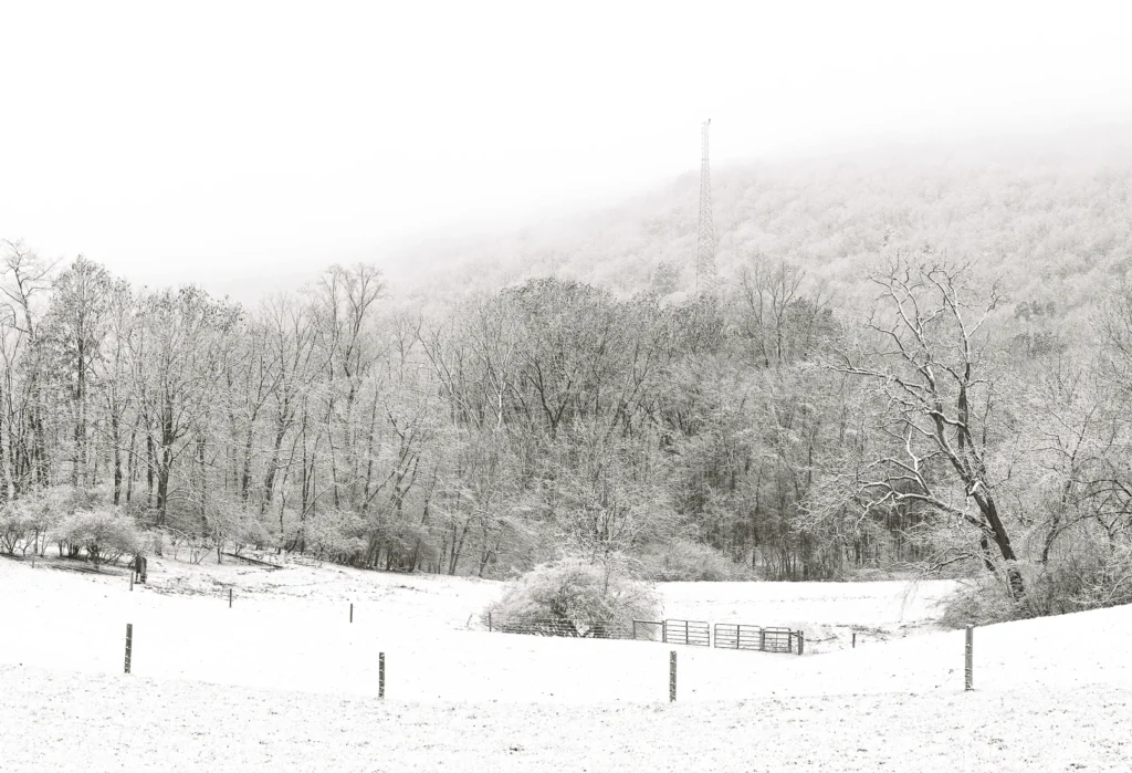 Winter Scene, photograph by Joe Worrick