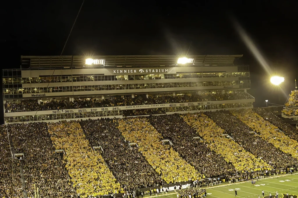 Black and Gold Stripe Out, photograph by John Larson