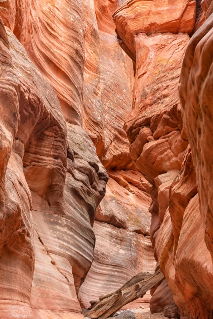 Slot Canyon Utah, photograph by John Larson