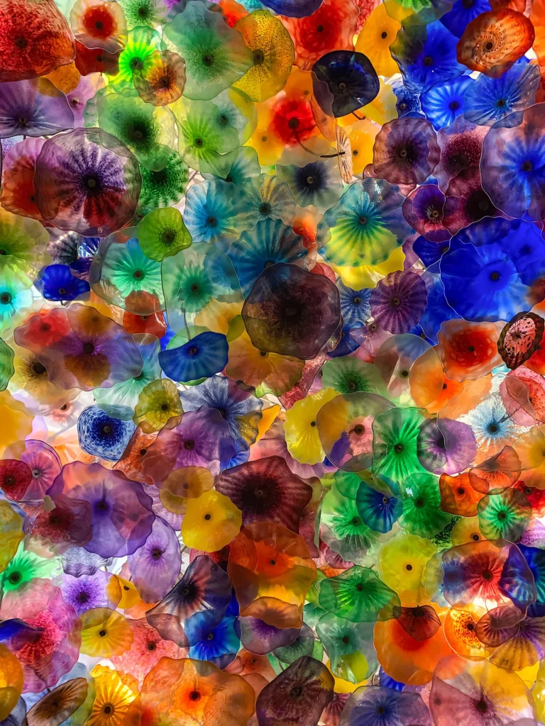Chihuly Flowers, photograph by Lisa Marie Cirincione