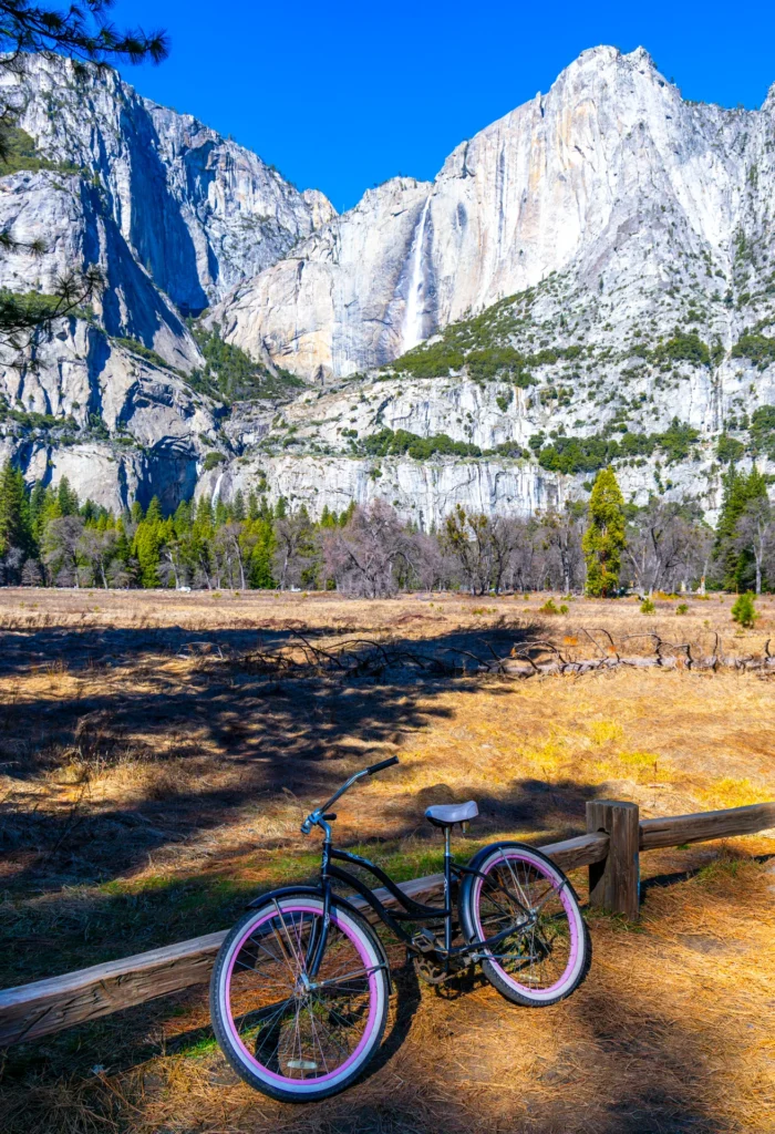 Yosemite Bike Parking, photograph by Lisa Marie Cirincione
