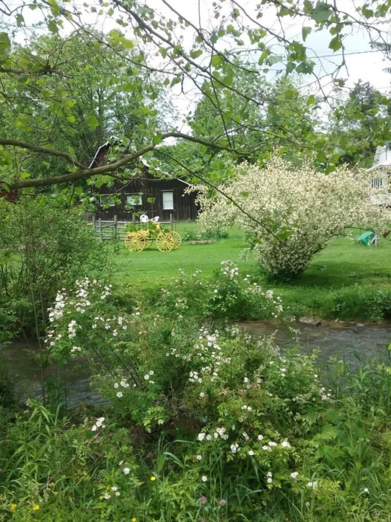 Lindas Farm, photograph by Liz Wilson