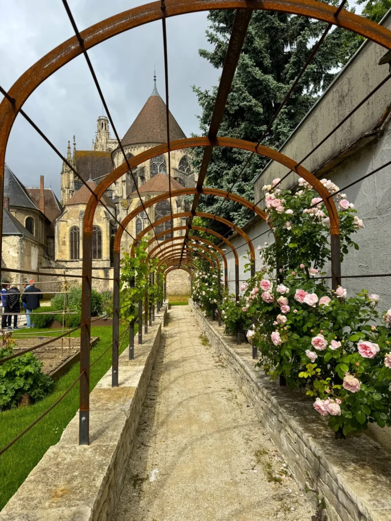 Sens bishops garden, photograph by Liz Wilson