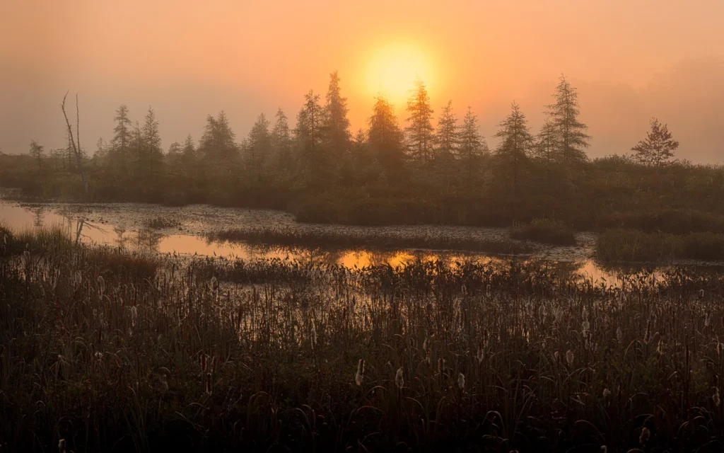 ADK Mornings, photograph by Lou Saporito