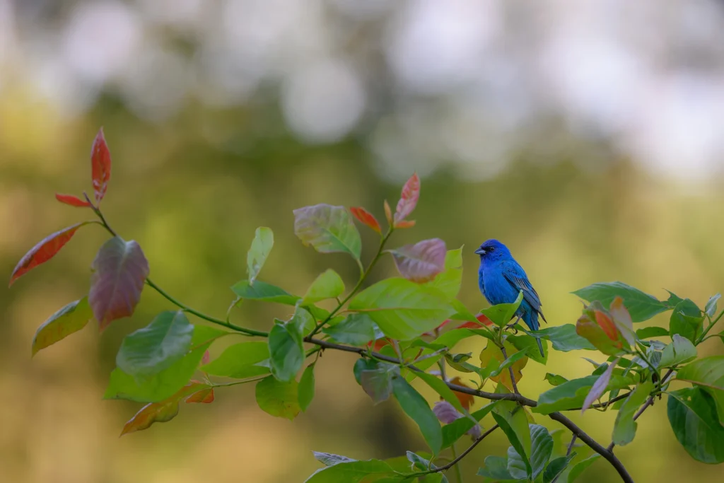 Untitled, photograph by Michael Dreese