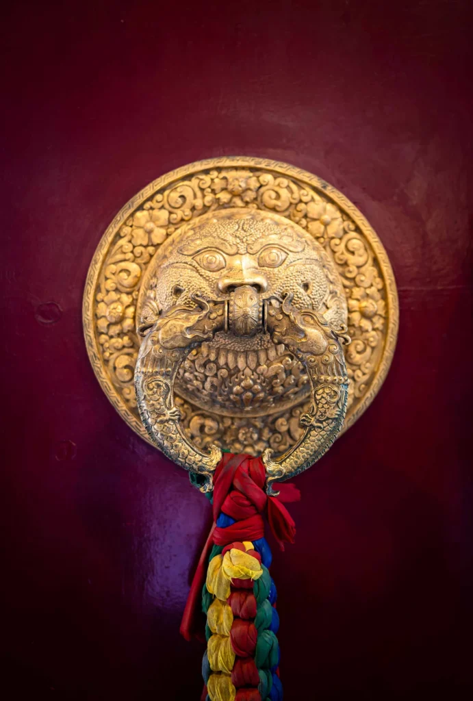 Lion’s Den, photograph by Naveen Yellappa