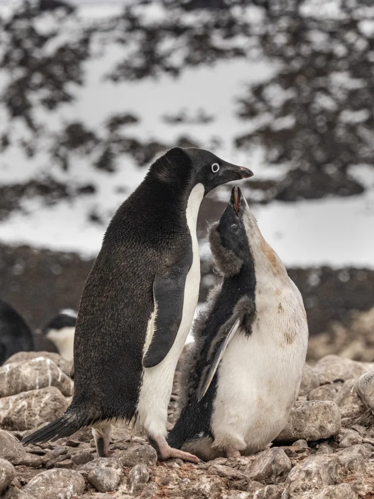 Lunchtime, photograph by Rich Shore