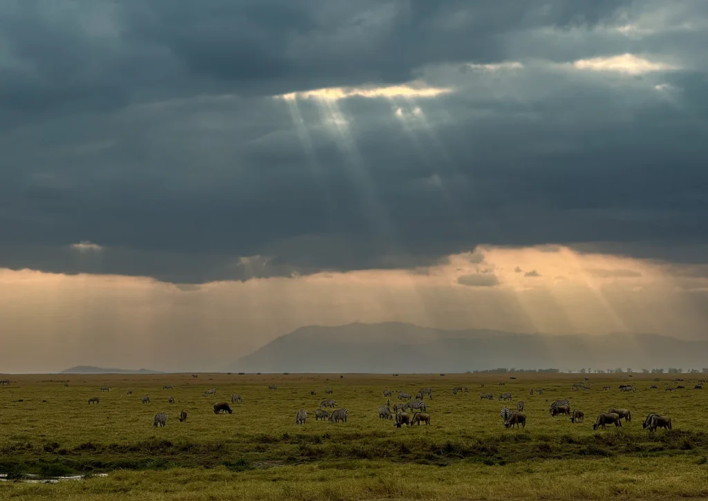 Sun Rays, photograph by Rich Shore