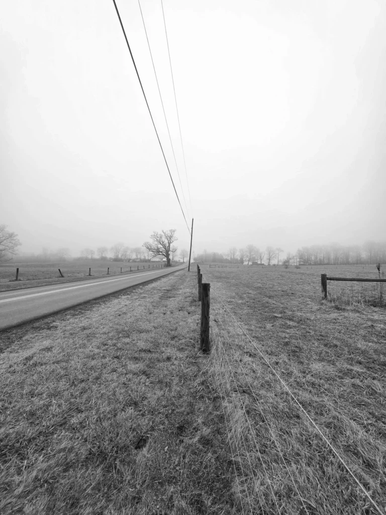 Landscape with Wires, photograph by Scott Pilutik