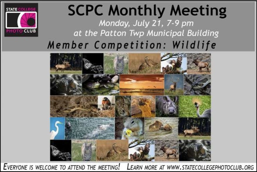 SCPC Monthly Meeting flyer, July 21, 2025
