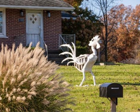A Halloween skeleton in Hawk’s Run, by Jane Liechty
