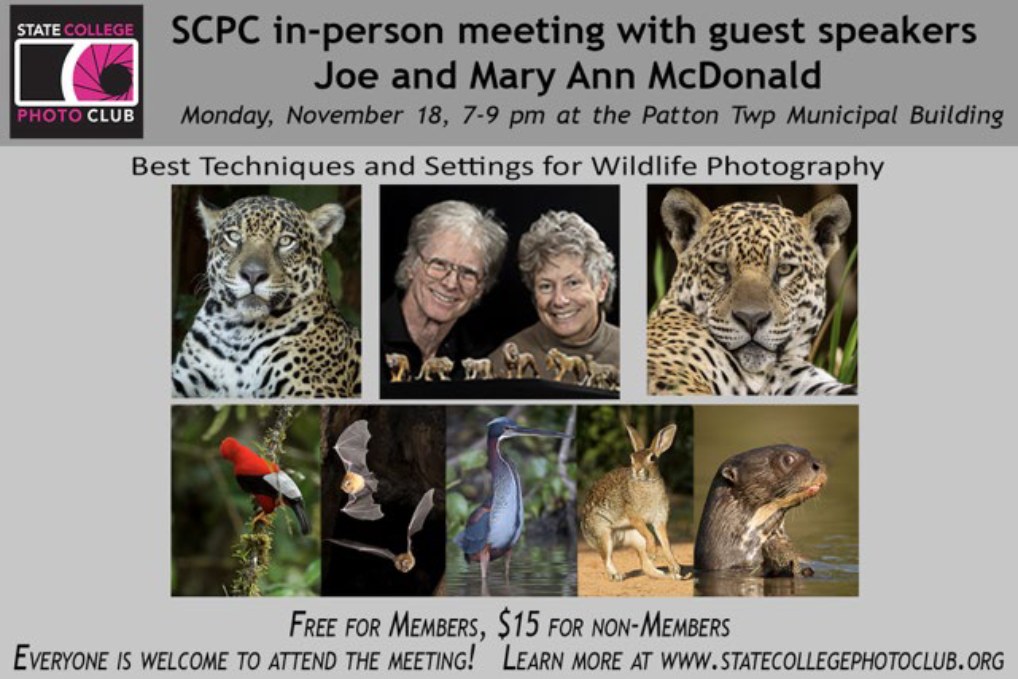 SCPC Monthly Meeting flyer, November 18, 2024