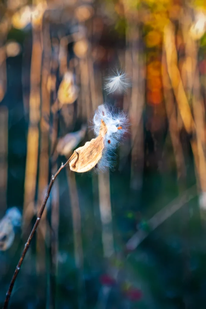 Reaching, photograph by Tricia Kidd